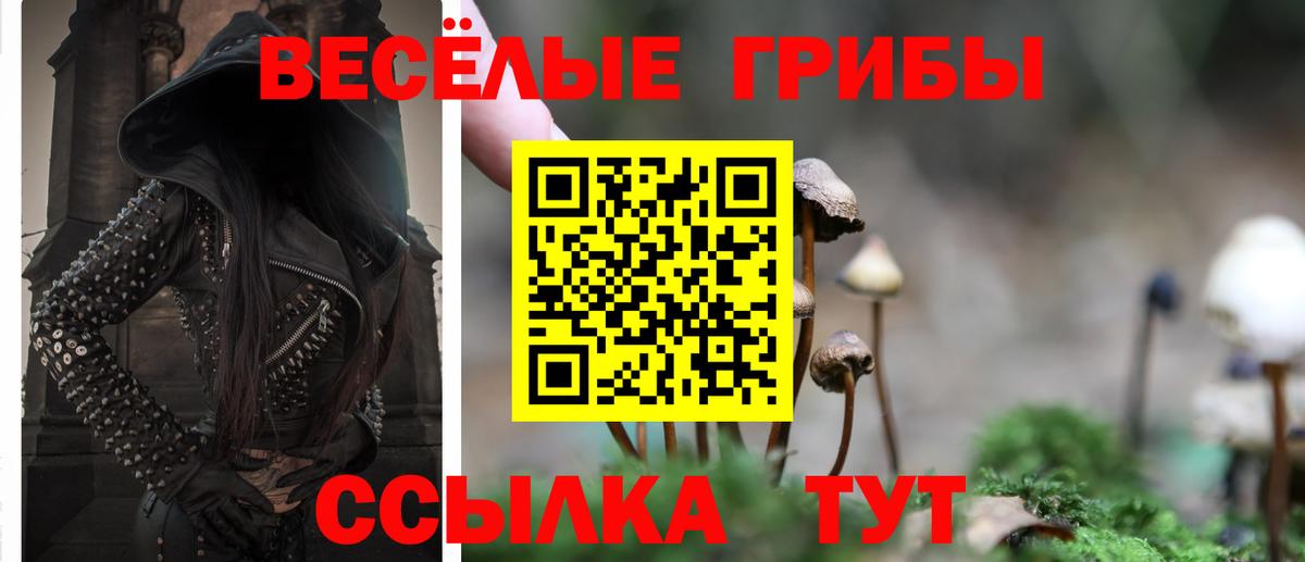Галлюциногенные грибы мицелий  Вход с VPN  Знаменск 